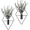 Jexine 2 Pcs Hanging Artificial Planters Wall Decor, Black, Eucalyptus