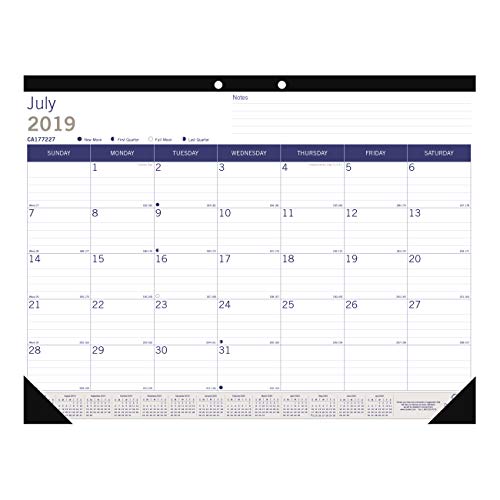 Blueline DuraGlobe Monthly Desk Pad, Academic Desk Calendar, 13-Month, July 2019 to July 2020, 22 x 17 Inches (CA177227-20) -  Rediform