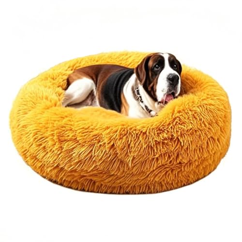 STAERTME ybgNbV Lxbh xbh LNbV ybgxbh ybgnEX ی`  ӂӂ ``  LpQ 􂦂 ybgxbg ^ ^ xbg L ėp ʋC悢 XNGA^ _炩 ӂӂ 