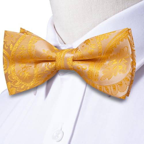 Image of Mens Paisley Striped Bowtie Set Pre-tied Bowtie for Men and Pocket Square Set Wedding Business