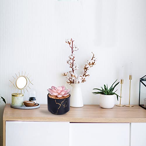 Zenida Succulent Artificial Plants,Cute Fake Succulents In 1 Black Ceramic Pots,Small Fake Plants For Office,Table,Desk,Bathroom, Bedroom,Aesthetic Room Shelves Decor,Desk Decorations For Women Office #TOP2