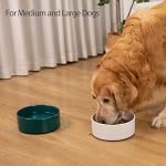 Large Dog Bowls, Non Slip Heavy Ceramic Dog Food and Water Bowl with Silicone Base, 8" Pet Feeding Bowl for Small, Medium, and Big Dogs (Green, 8 Inches) - Image 5