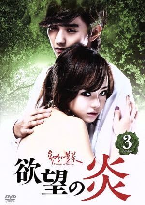 欲望の炎 DVD-BOX Amazon.co.jp: 欲望の炎 DVD－BOX 4 [DVD] : シン