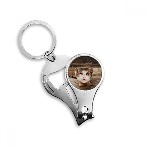Porte-clés bague coupe-ongles chat drôle kit ciseaux et décapsuleur