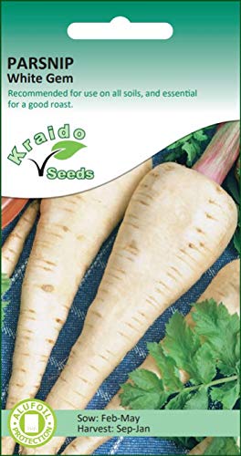 Vegetable Seeds (Parsnip White Gem)