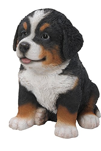 Estatua cachorro de perro Bernese Mountain Dog miniatura 5