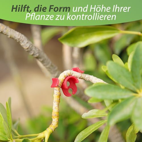 40 Stück Pflanzenbieger Winkel Grow LST Clips für Low Stress Training – 90 Grad Pflanzentrainer & Pflanzenstütze für effizientes Biegen – Gleichmäßigeres Wachstum und höhere Erträge (40 Stück)