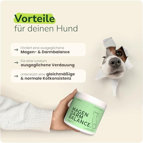 Prä- & Probiotika für Hunde – 120 funktionale Snacks (360 g) | Unterstützt Darmflora & Verdauung | Bei Grasfressen, Blähungen & sensiblen Mägen | Auch zur Unterstützung des Immunsystems