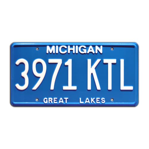 Ash vs Evil Dead | 3971 KTL | Metal Stamped License Plate