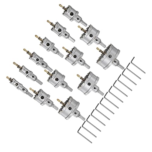 Kit de Sierras de Corona 13 Piezas Carburo Metal miniatura 1