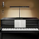 DUDUDU 15.75 Inch LED Piano Light