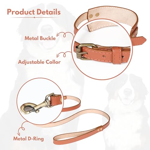 Ensemble collier et laisse pour chien en cuir souple marron clair 45cm - 5