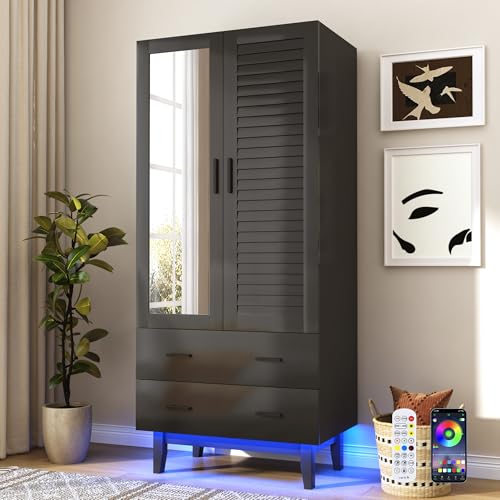 jiteentarou 2 Door Armoire Wardrobe Closet Cabinet with Drawers and LED Lights, Multi-Tier Shelves, Hanging Rod & 2 Louver Doors, Large Capacity Storage Wardrobe Armoire for Bedroom(2 Doors Black)