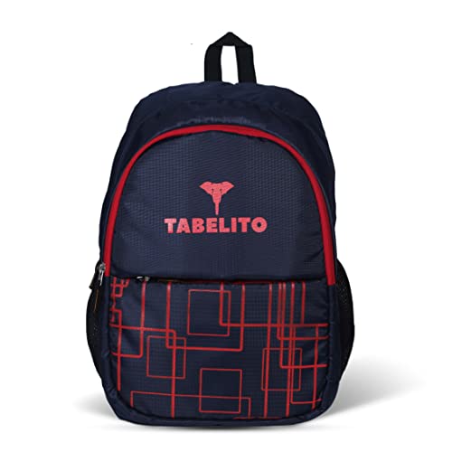 Tabelito® NEXA 3O L Water Resistant Laptop/College/Office/School/Travel/Business Bag, Unisex Backpack for Men Women Fits Up to 15.6 Inch Laptop Notebook. (GREY)