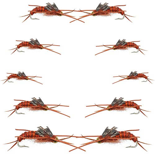 The Fly Fishing Place Basics Collection - Kaufmann's Brown Stonefly Nymph Assortment - 10 Bead Head Rubber Legs Wet Flies - Hook Sizes 6, 8, 10, and 12