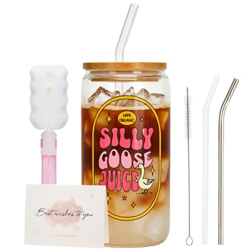 Chovbe Silly Goose Juice Glass with Lid and Straw - Funny Birthday Gifts