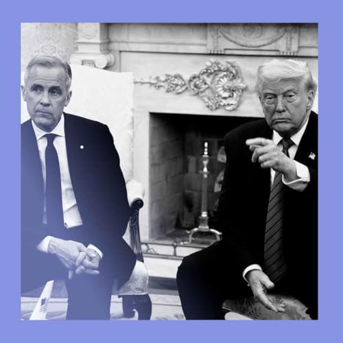 Man of steel, and aluminium: Carney talks trade with Trump