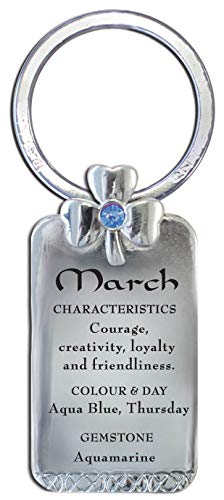 Celtic Birthstone Keyring March Aquamarine Gemstone