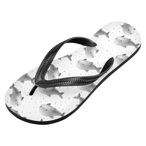 Flip Flop Sandals Grey Dolphin Print for Women Men Beach Outdoor XS2