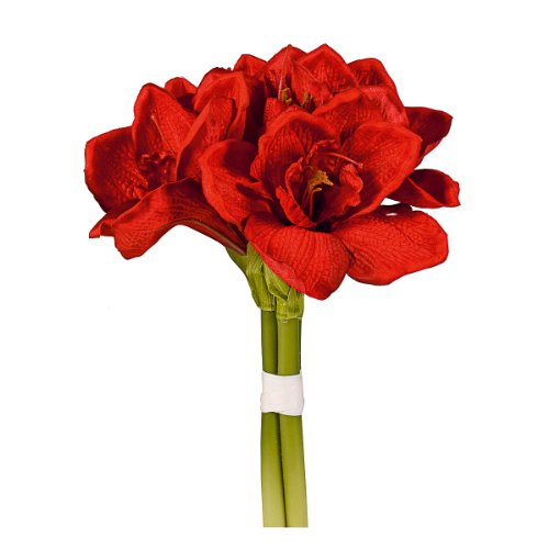 Amaryllis-Bund 3Stiele 32cm ro