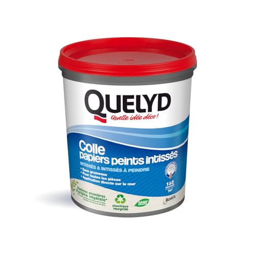 Quelyd Colle Papiers Peints Intissés en Pâte – Toutes Pièces - Application Directement Au Mur – Prête à l'Emploi – Sans Solvant – Pot de 1 Kg