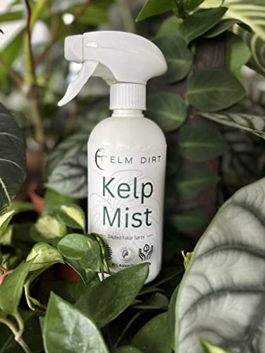 Elm Dirt Fertilizante Líquido para Plantas 32oz miniatura 3