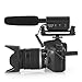 TAKSTAR SGC-598 Photography Interview Shotgun MIC Microphone for Nikon Canon DSLR Camera (Need 3.5mm Interface)Auxiliary