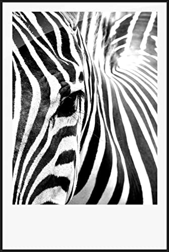 Nice Wall Poster Photo Picture Aluminium Black Matte Frame 36x24 inch 91.5x61cm Metal