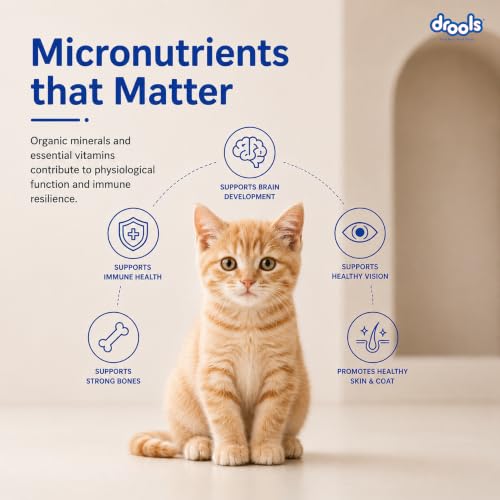 Image of Drools Dry Kitten Cat Food 3kg | Ocean Fish | Supports Skin & Coat | Aids Digestive Function | No Artificial Flavours | Controls Hairball Formation