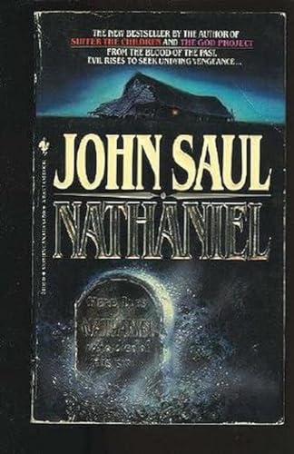 Nathaniel view 2