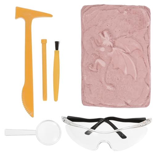 ibasenice 1 Juego De Esqueleto De Arqueología De Dinosaurio Kit De Excavación De Dinosaurio Kits De Excavación De Kit De Excavación Educativo Yeso De Excavación Rojo