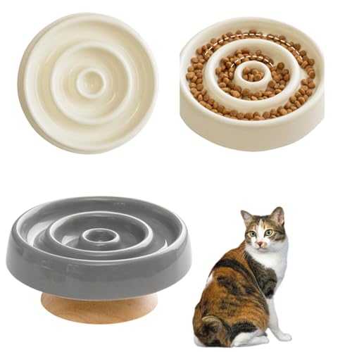 Lifetips Wpj[Y{ueCL Wp{u Lp X[t[h{E ؐ Hh~ ~ HZbg ^ L  􂢂₷ iؐx-X^CvO[j