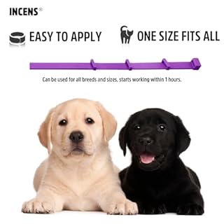 INCENS Il Collare calmante per Cani, Progettato per alleviare l'ansia nei Cani, è Regolabile e Dura 45 Giorni. È Adatto a Cani di Piccola e Grande Taglia ed è Disponibile in Colore Viola - 1 pz.