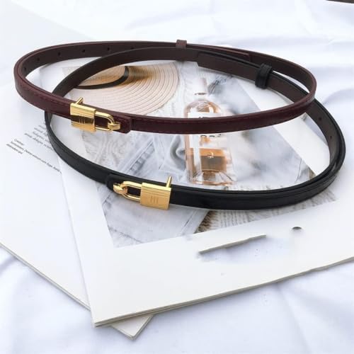 Waist Belt Women's Waist Belts Youth French Pin Buckle Elegant Leather Belts Dress Ladies Belt Decoration Versatile4