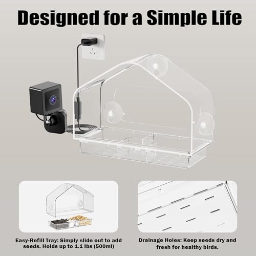 RichBird 2K Smart Camera Window Bird Feeder w/ AI Bird Identification - image 6
