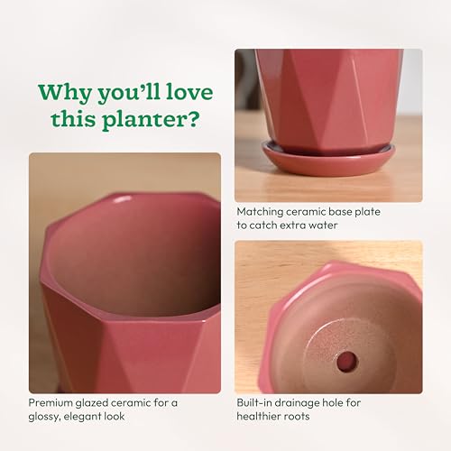 Image of UGAOO Diamond Ceramic Flower Pot for Indoor Plants, 4 Inch - Magenta
