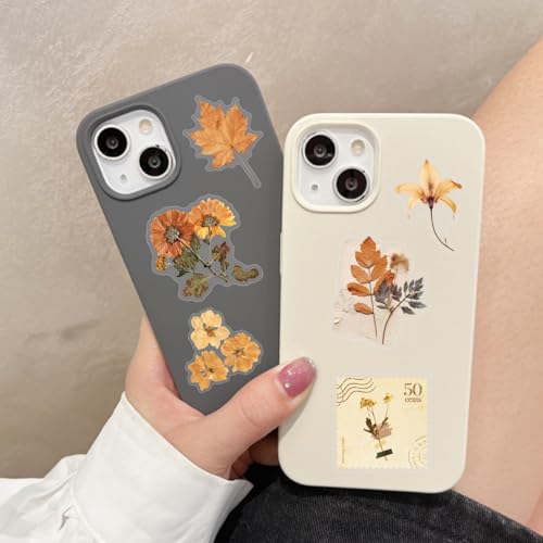 Image of Transparent Flora Scrapbook Stickers Aesthetic Flowers Stickers(Bro) | Transparent & Waterproof Sticker for Scrapbook Journal Water Bottle Kindle, DIY Crafts, Party Supplies