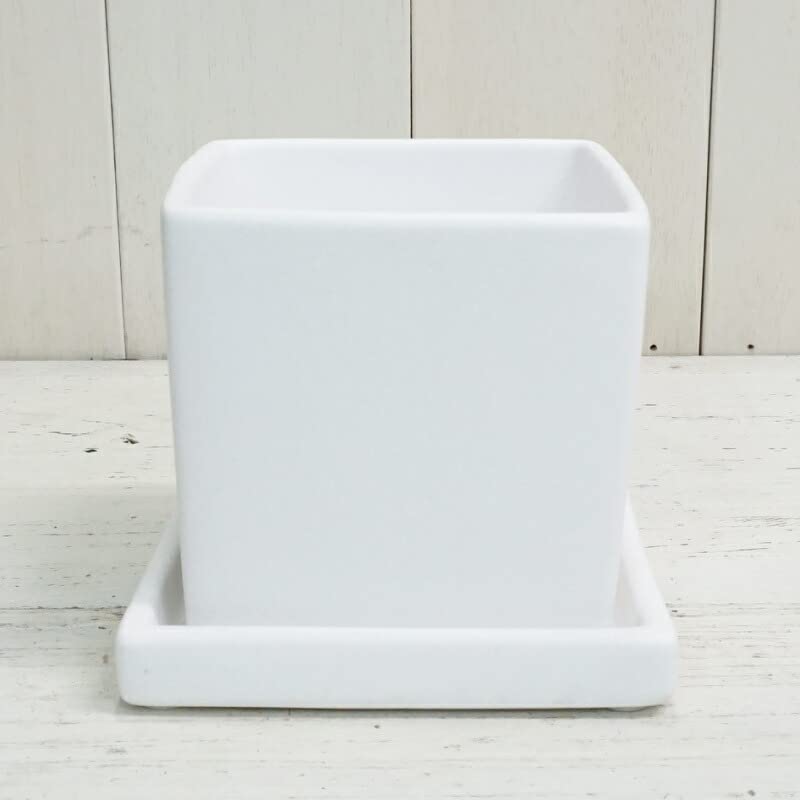Amazon.co.jp: 植木鉢 おしゃれ 陶器鉢 オストキューブS＜ 11cm 白