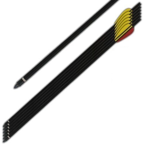 SAS 6 Aluminum Black Metal Arrows 14