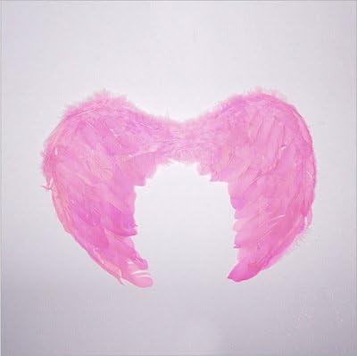 Halloween Costumes for Women White Angel Wings for Cosplay Christmas Costumes for Kids Small (45 * 35cm, Pink)
