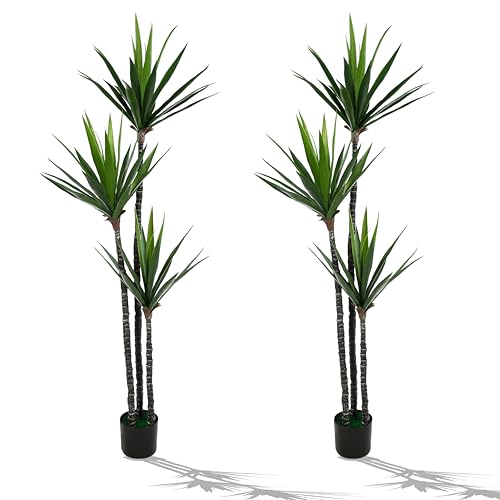 2-Pack Artificial Dracaena Trees - 6FT Tall Each  Ultra Realistic and UV Protected with Two Black...
