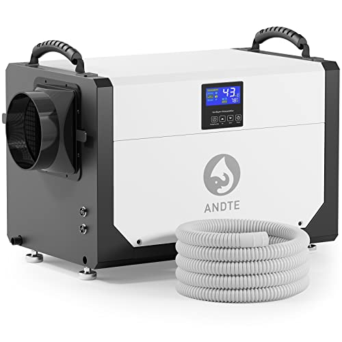 List of Top Ten Best Under House Dehumidifiers Top Picks 2023 Reviews