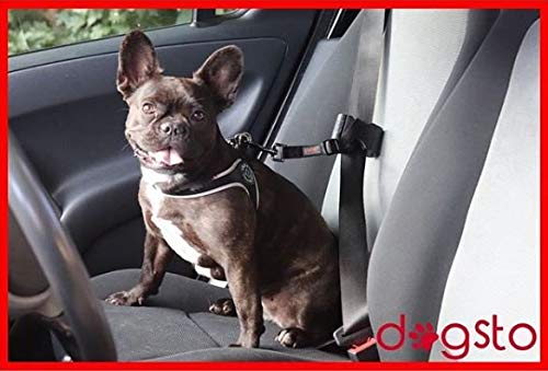 Dogsto Hunde Sicherheitsgurt für jedes Auto mit mittiger Befestigung am Sicherheitsgurt - Ideale Sitzposition