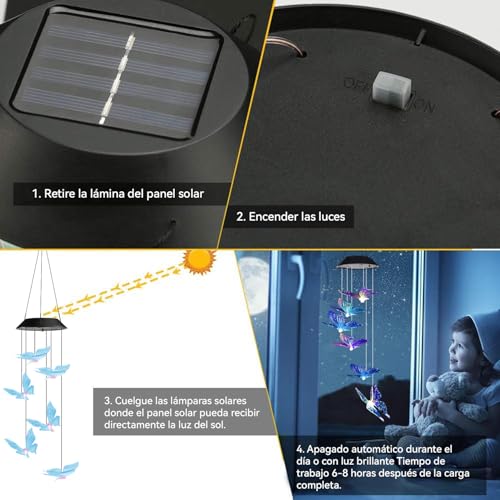 Decoración Exterior, Imagen adicional