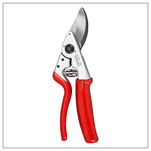 Corona BP 4840 Forged Steel Blade Lightweight Aluminum Rolling Handles Bypass Hand Pruner-1 Inch Cut Capacity Stem and Branch Garden Shears, 1 in, Red