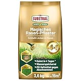 Substral Magisches Rasen-Pflaster, 3,6 kg - 4in1 Rasenreparatur Rasensamen + Premium Keimsubstrat + Dünger und Haftmittel, blau
