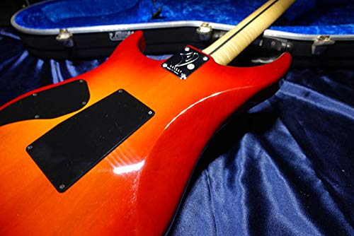 Amazon | Vigier Guitars Excalibur Ron