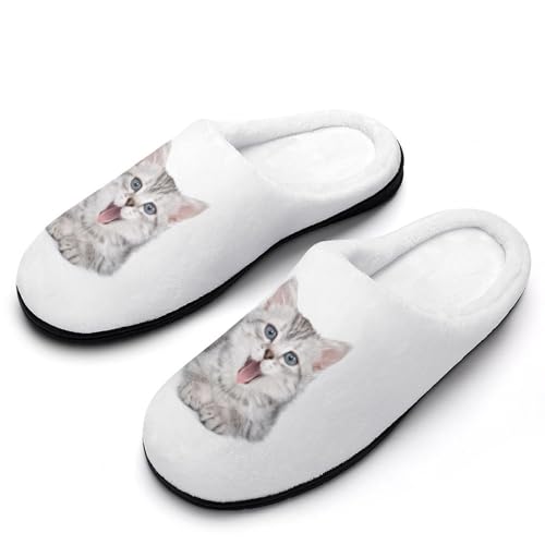 [ZKCASA] Xbp 킢 lR L AJV[gwA [V[Y   qp h  g 􂦂 ~ jp I[V[Yp 7-8i39-40)