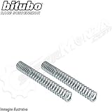 paraolio forcella sh 300  DFC SRL Mf030 Kit Molle Forcella + Olio Bitubo Compatibile con Honda 300 Sh 300 I/ABS