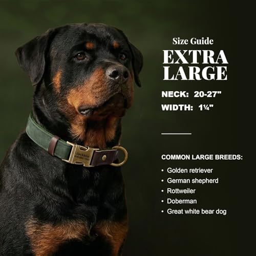 Image of Personalized PU Leather Dog Collars,Quick Release Buckle,Green,XL